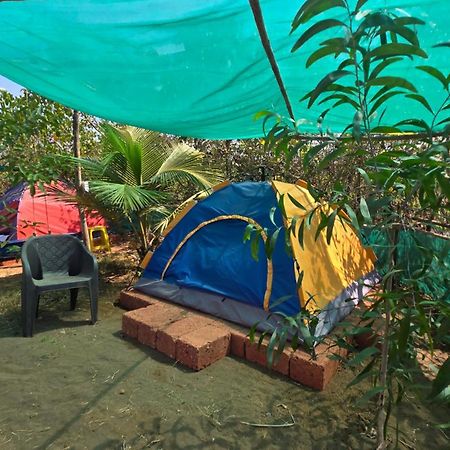 Sea Touch Beach Resort Harihareshwar المظهر الخارجي الصورة
